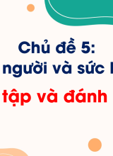 Chủ đề 5. Ôn tập và đánh giá chủ đề Con người và sức khoẻ
